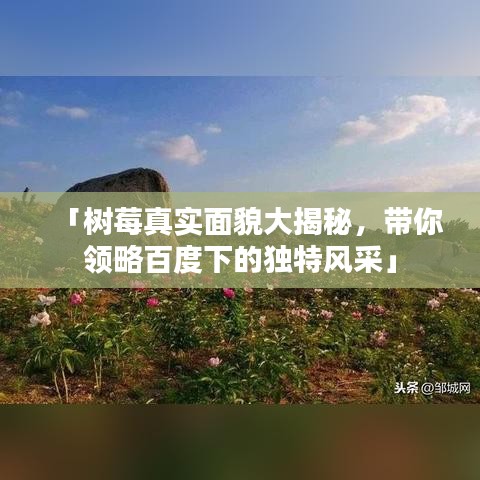 「樹莓真實(shí)面貌大揭秘，帶你領(lǐng)略百度下的獨(dú)特風(fēng)采」