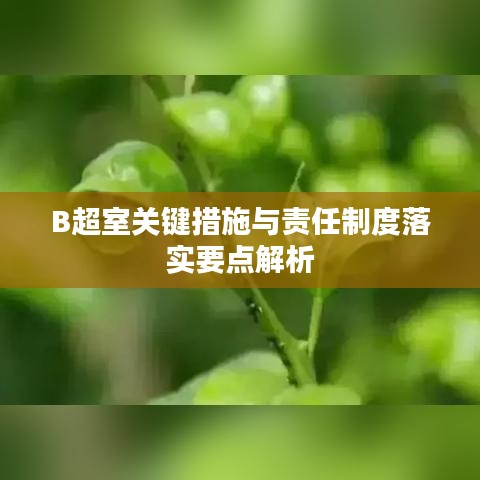 B超室關(guān)鍵措施與責(zé)任制度落實要點解析