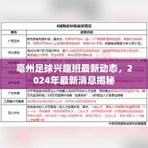 公司簡介 第16頁