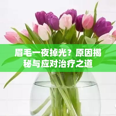 眉毛一夜掉光？原因揭秘與應對治療之道