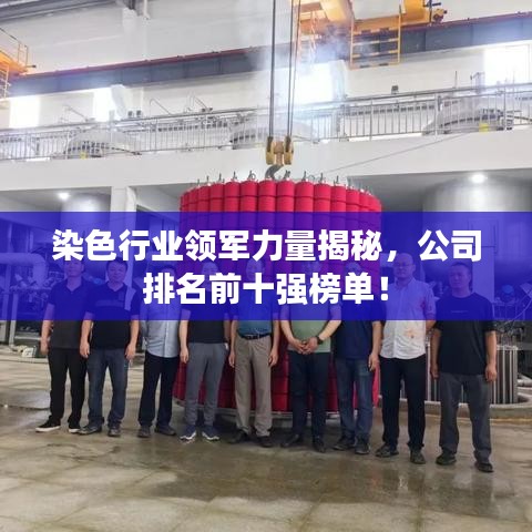 染色行業(yè)領(lǐng)軍力量揭秘，公司排名前十強榜單！