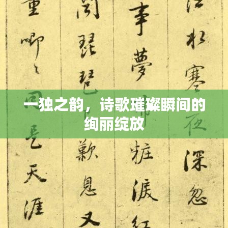 一獨(dú)之韻，詩(shī)歌璀璨瞬間的絢麗綻放