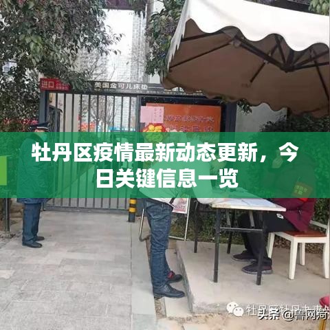牡丹區(qū)疫情最新動(dòng)態(tài)更新，今日關(guān)鍵信息一覽