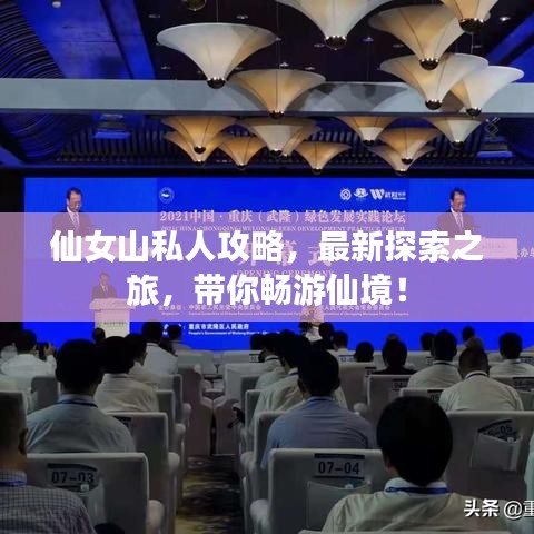 仙女山私人攻略，最新探索之旅，帶你暢游仙境！