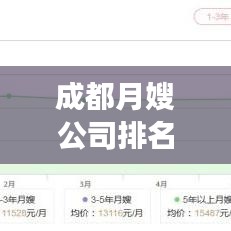 成都月嫂公司排名揭秘，專業(yè)市場(chǎng)分析與深度洞察