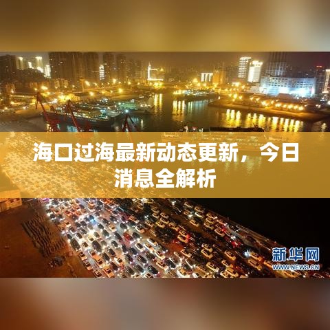 海口過海最新動態(tài)更新，今日消息全解析