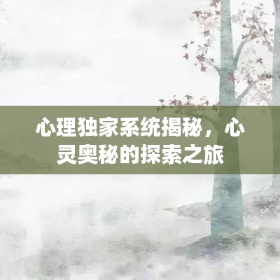 心理獨家系統(tǒng)揭秘，心靈奧秘的探索之旅