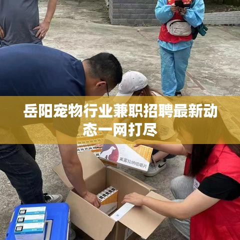 岳陽寵物行業(yè)兼職招聘最新動態(tài)一網(wǎng)打盡