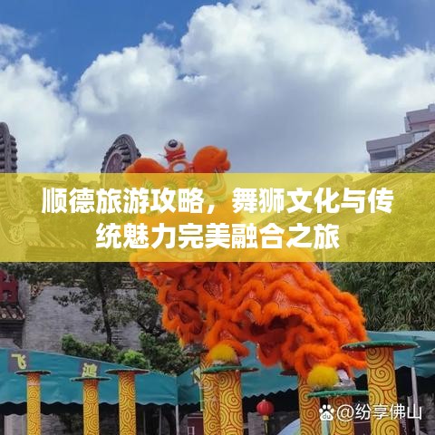 順德旅游攻略，舞獅文化與傳統(tǒng)魅力完美融合之旅