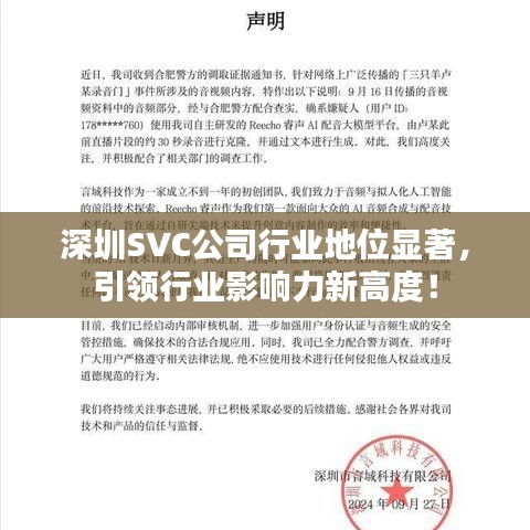 深圳SVC公司行業(yè)地位顯著，引領(lǐng)行業(yè)影響力新高度！
