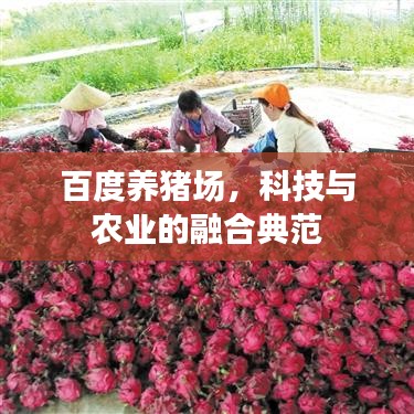 百度養(yǎng)豬場(chǎng)，科技與農(nóng)業(yè)的融合典范