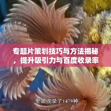 專題片策劃技巧與方法揭秘，提升吸引力與百度收錄率的關鍵秘籍！