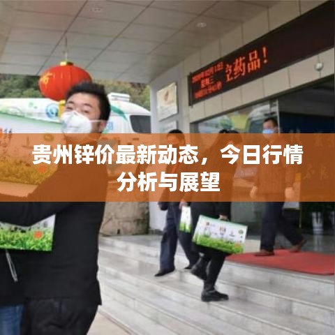 貴州鋅價最新動態(tài)，今日行情分析與展望