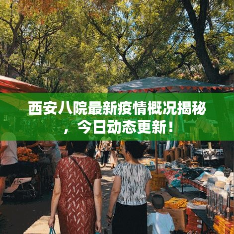西安八院最新疫情概況揭秘，今日動態(tài)更新！