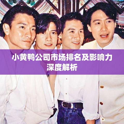 小黃鴨公司市場(chǎng)排名及影響力深度解析