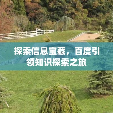探索信息寶藏，百度引領知識探索之旅