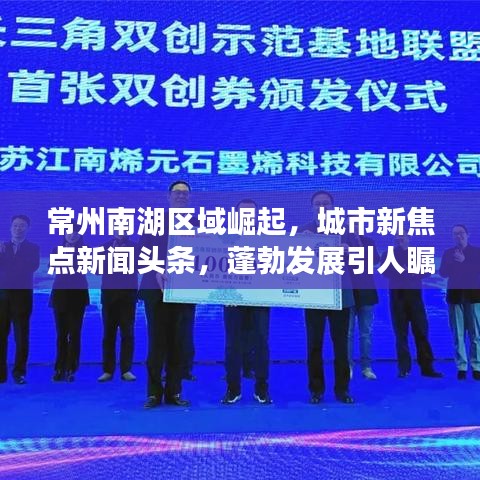 服務(wù)支持 第12頁