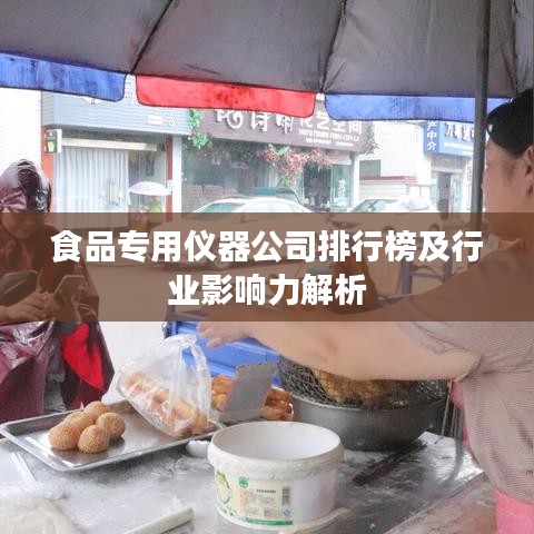 食品專用儀器公司排行榜及行業(yè)影響力解析