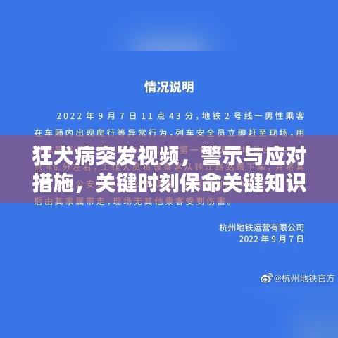 第113頁(yè)
