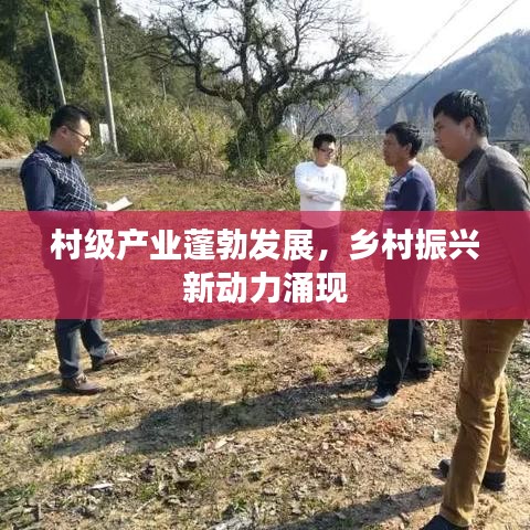 村級產(chǎn)業(yè)蓬勃發(fā)展，鄉(xiāng)村振興新動力涌現(xiàn)