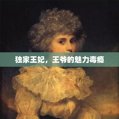 獨家王妃，王爺?shù)镊攘Χ景a