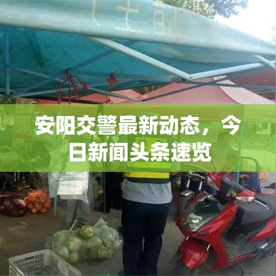 安陽交警最新動(dòng)態(tài)，今日新聞?lì)^條速覽
