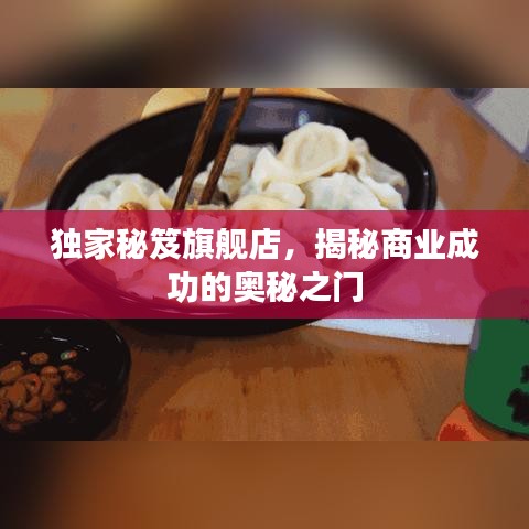 獨(dú)家秘笈旗艦店，揭秘商業(yè)成功的奧秘之門
