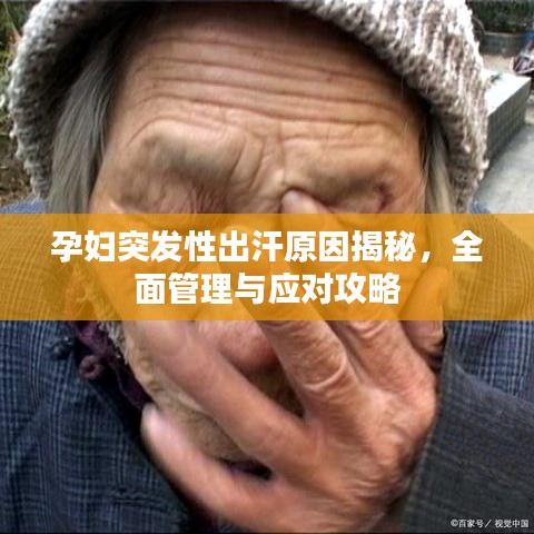 貴陰賤璧