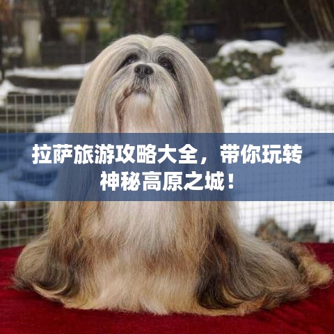 拉薩旅游攻略大全，帶你玩轉(zhuǎn)神秘高原之城！