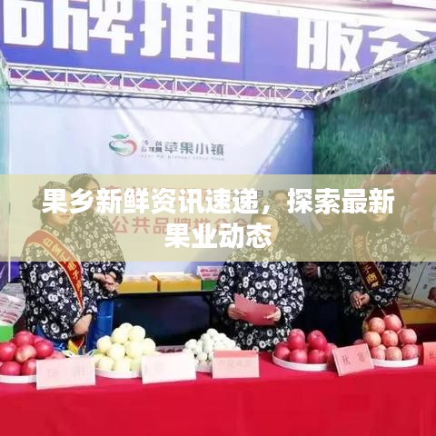 祖道供張