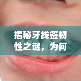 揭秘牙線簽韌性之謎，為何強(qiáng)韌不斷，表現(xiàn)卓越？
