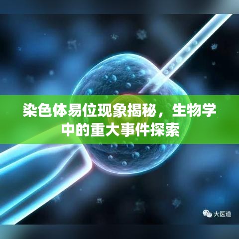 染色體易位現象揭秘，生物學中的重大事件探索