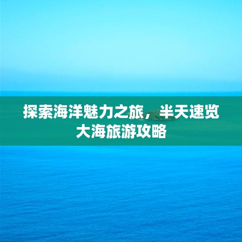 探索海洋魅力之旅，半天速覽大海旅游攻略