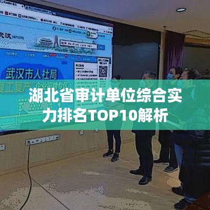 湖北省審計單位綜合實力排名TOP10解析