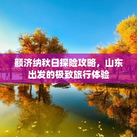 額濟(jì)納秋日探險攻略，山東出發(fā)的極致旅行體驗