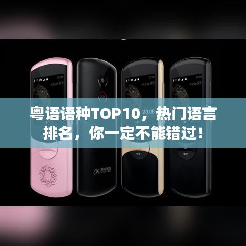 粵語語種TOP10，熱門語言排名，你一定不能錯(cuò)過！