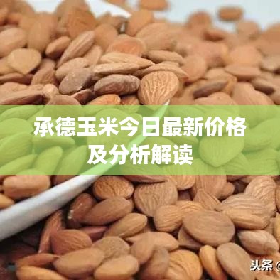 承德玉米今日最新價格及分析解讀