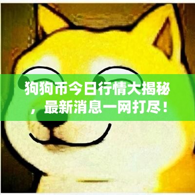 狗狗幣今日行情大揭秘，最新消息一網(wǎng)打盡！