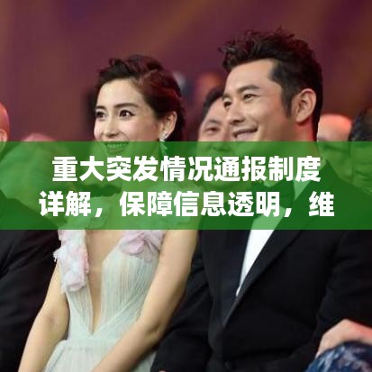 重大突發(fā)情況通報制度詳解，保障信息透明，維護(hù)社會穩(wěn)定