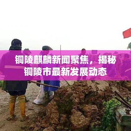 銅陵麒麟新聞聚焦，揭秘銅陵市最新發(fā)展動(dòng)態(tài)