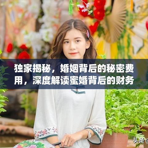獨家揭秘，婚姻背后的秘密費用，深度解讀蜜婚背后的財務真相