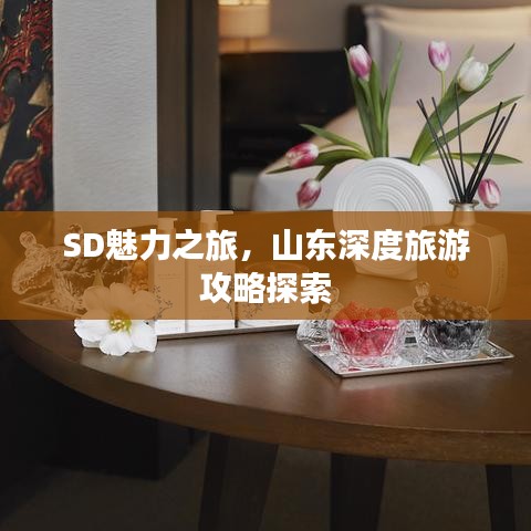 SD魅力之旅，山東深度旅游攻略探索