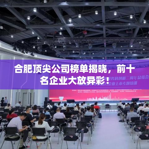 合肥頂尖公司榜單揭曉，前十名企業(yè)大放異彩！