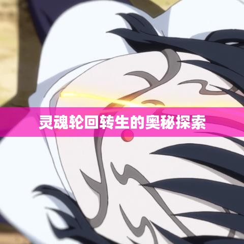 成功案例 第8頁(yè)