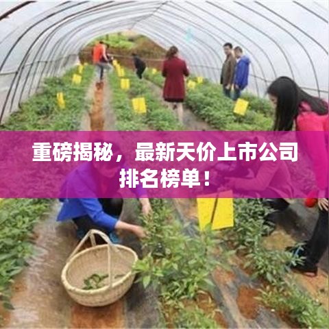 重磅揭秘，最新天價上市公司排名榜單！