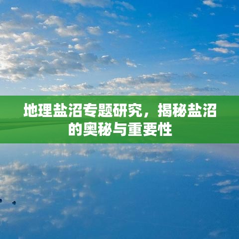 地理鹽沼專(zhuān)題研究，揭秘鹽沼的奧秘與重要性