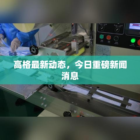 高格最新動態(tài)，今日重磅新聞消息