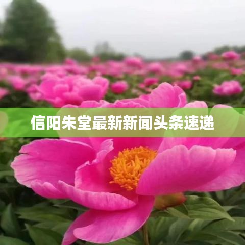 服務(wù)支持 第7頁(yè)