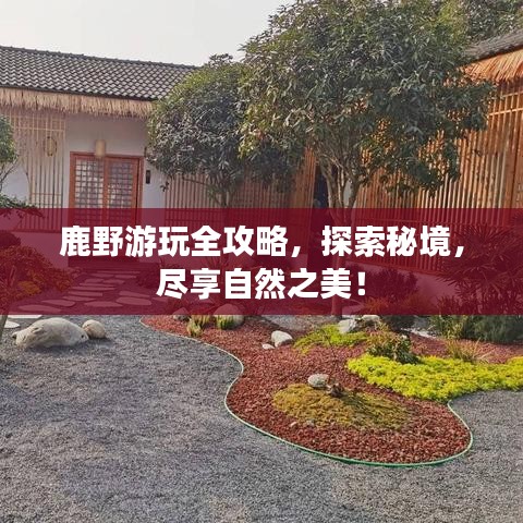 鹿野游玩全攻略，探索秘境，盡享自然之美！