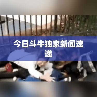 今日斗牛獨(dú)家新聞速遞